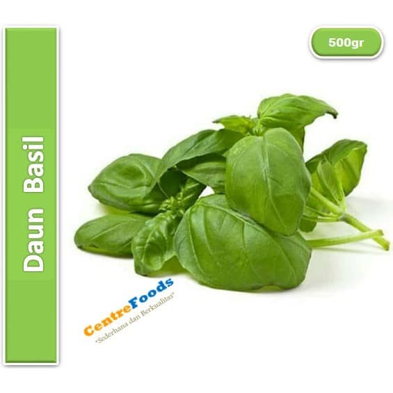 

Daun Basil Fresh - Sweet Basil | 500gr [ Harga Per 0,5 Kg ]