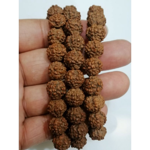 GELANG BUAH JENITRI ASLI