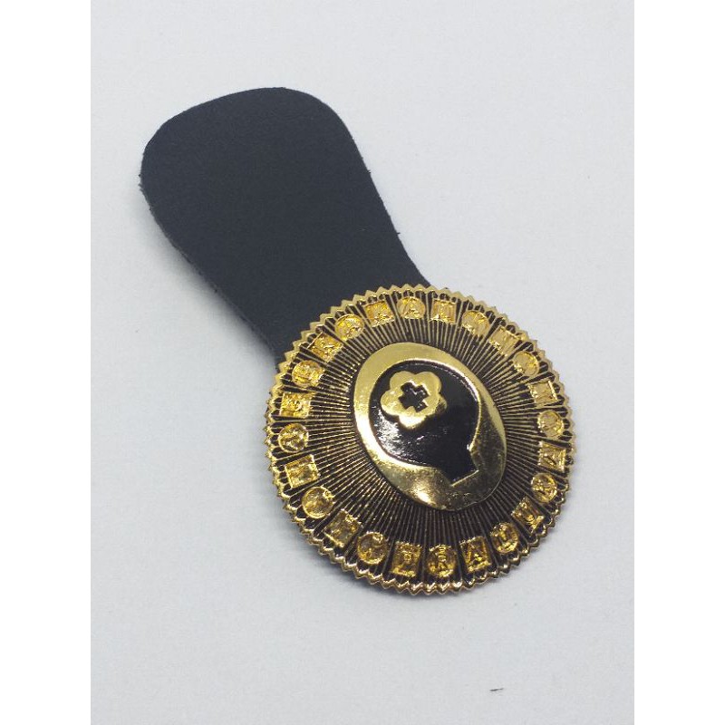 Tanjab pamong saka bakti husada