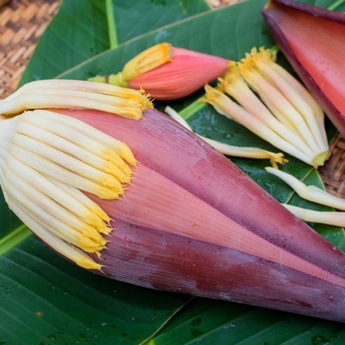 

New Jantung pisang kepok kuning 1 kg