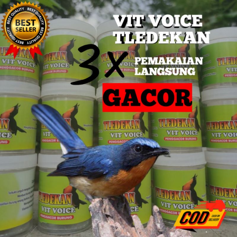 VITAMIN BURUNG TLEDEKAN GUNUNG,BAKAU TEEBUKTI GACOR AMPUH TERLARIS MURAH II DOPING JAMU RAWATAN SETI