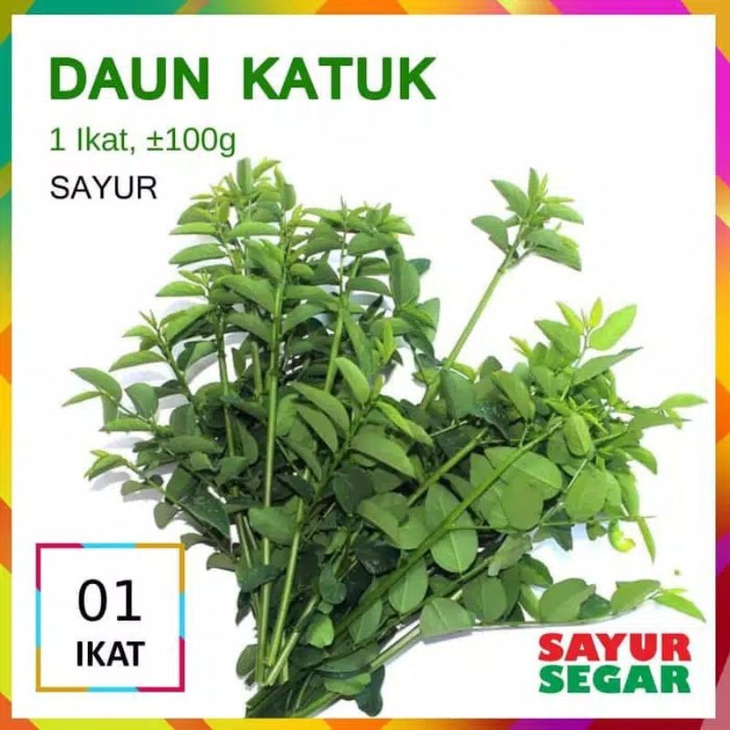 

Daun Katuk/ Pelancar Asi/ Daun Katuk Segar 1 ikat/ 100grm