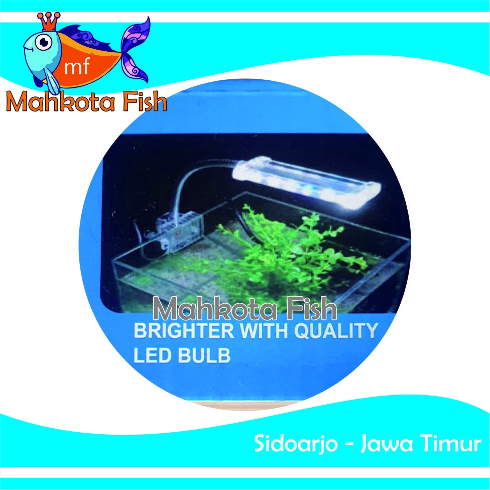 Lampu LED JEPIT Aquarium 5 watt | HEMAT ENERGY | Aquascape (GRATIS Buble)