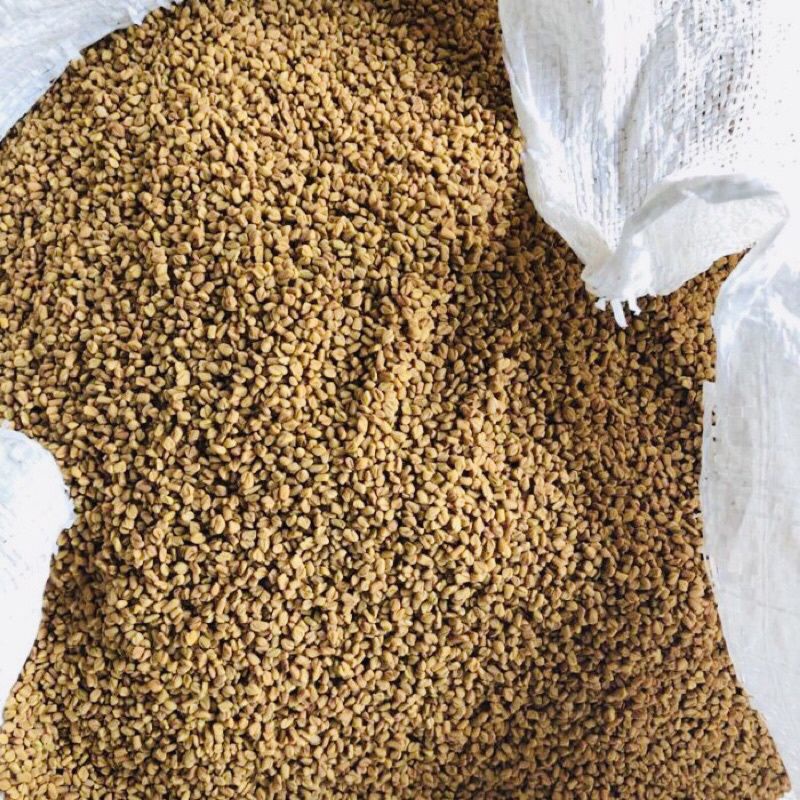 HALBA / FENUGREEK 50 gr