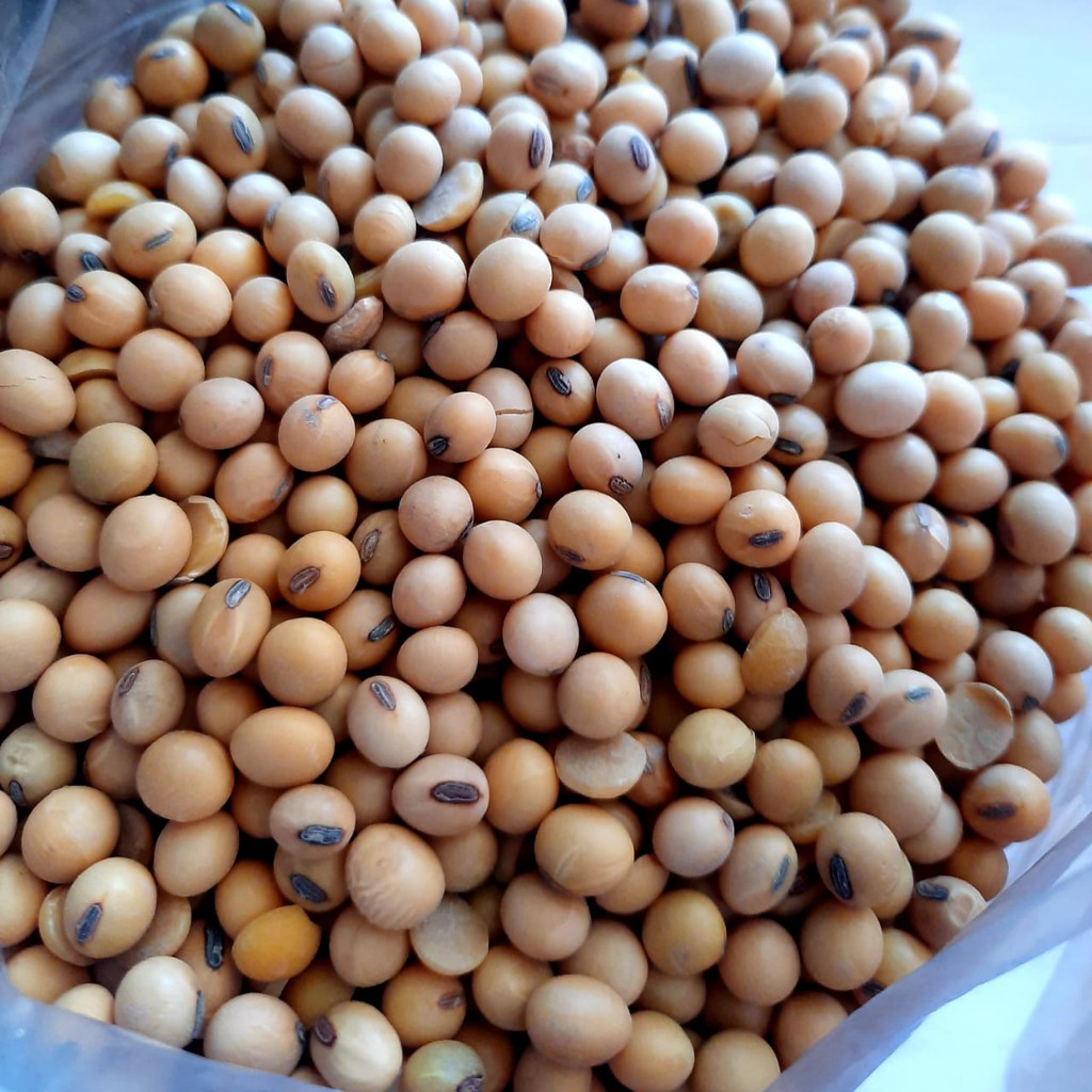 

Kacang Kedelai Mentah 250 gram