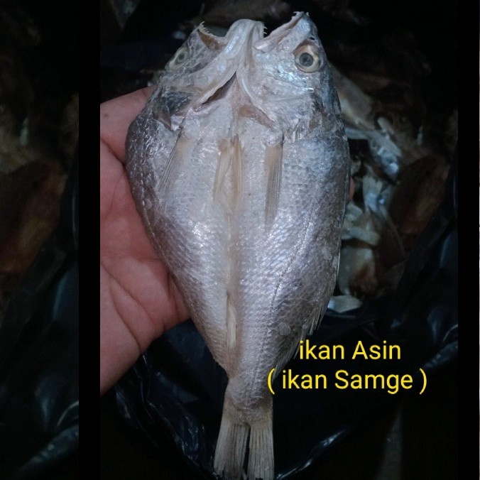 

ikan asin samge 1kg