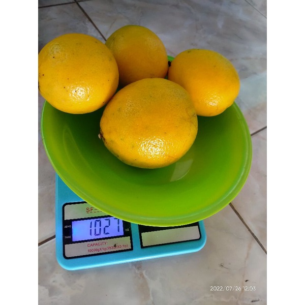 

lemon kalifornia penghilang haus