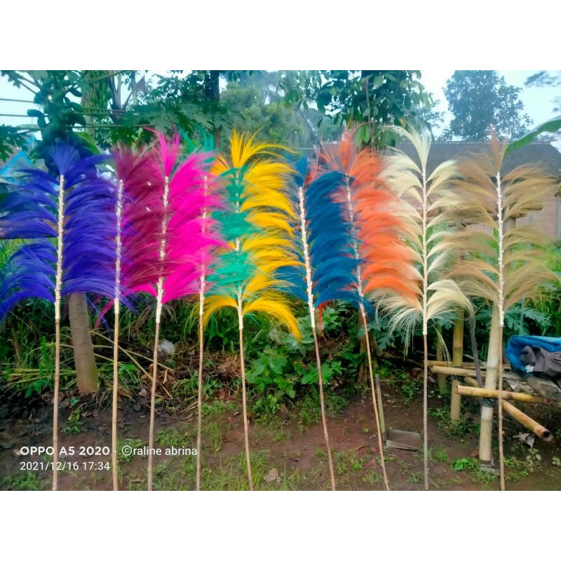 HOME DECOR/TERMURAH/RAYUNG STIK 21 CABANG/PANJANG 2 METER