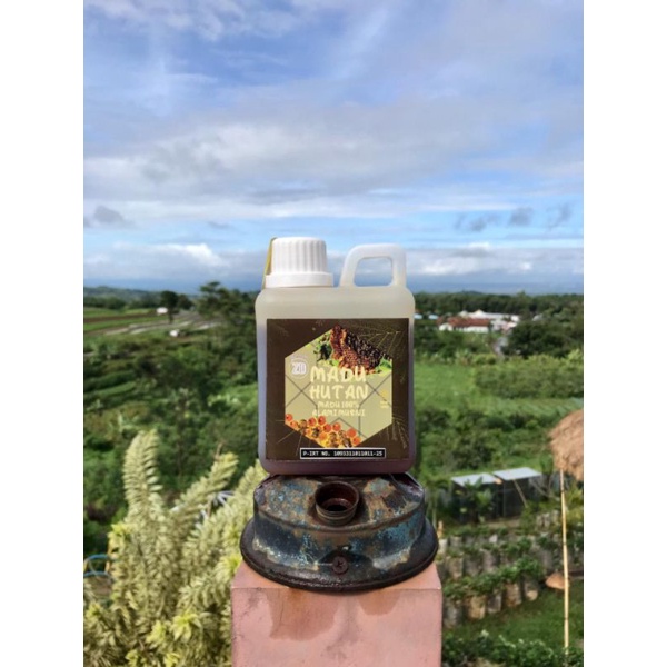 

Madu Hutan Murni Asli Hutan Gundih Tanpa Bahan Tambahan 500 g