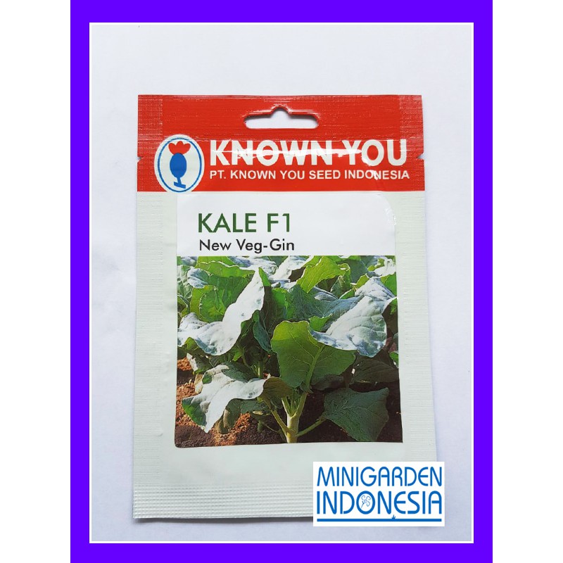 KAILAN NEW VEG GIN 250 BIJI PACK KECIL benih Kale New Veg-Gin F1 Known You Seed bibit tanaman sayur sayuran