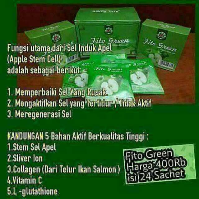 Fito Green MSI
