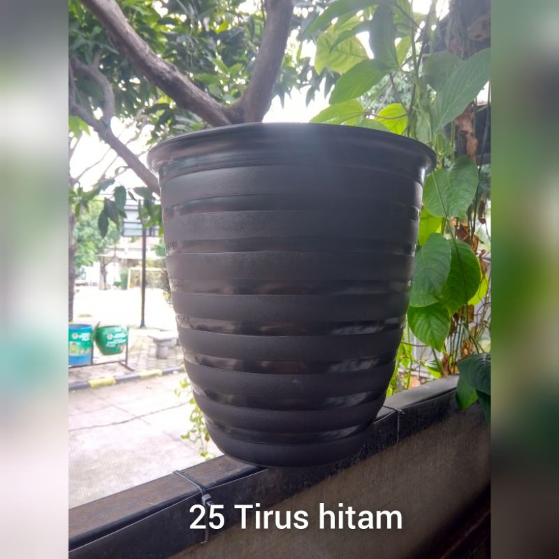 Jual Pot Tawon Tirus Hitam Murah Shopee Indonesia