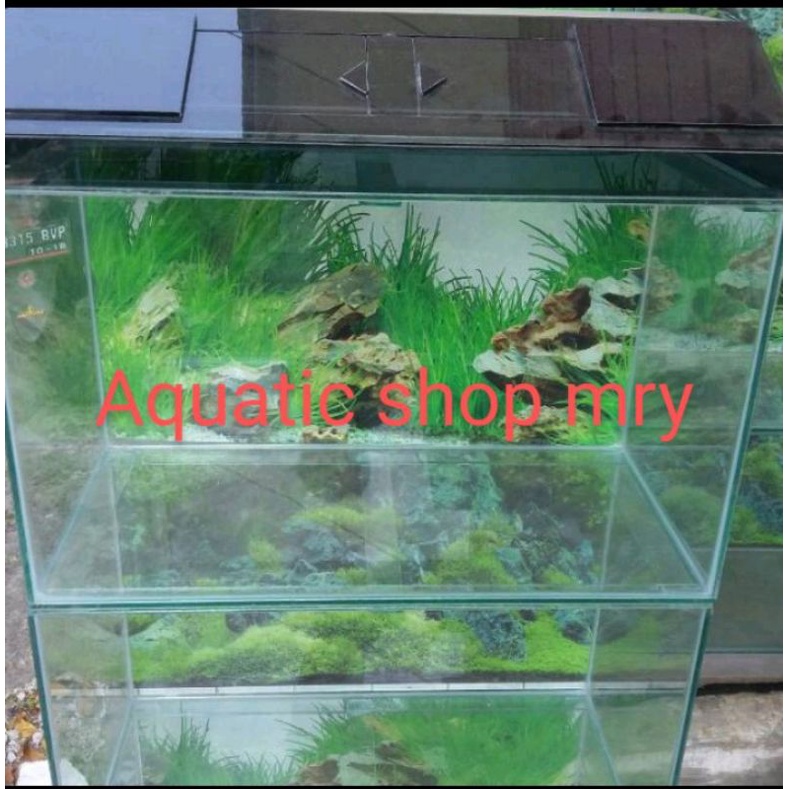 Aquarium 60x30x35 background + tutup