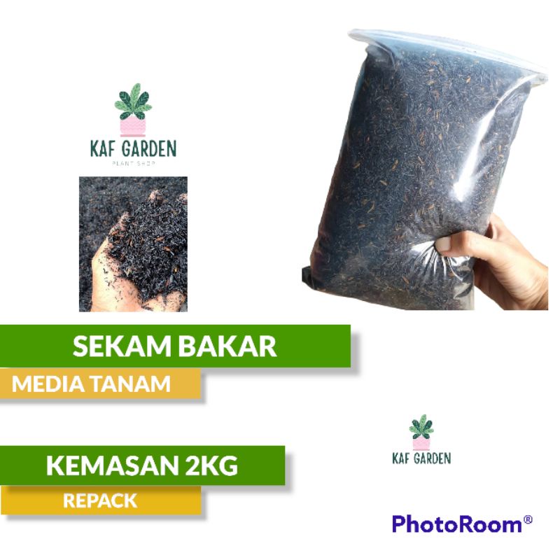 Jual Sekam Bakar Kemasan Kg Media Tanam Sekam Bakar Kg Shopee Indonesia