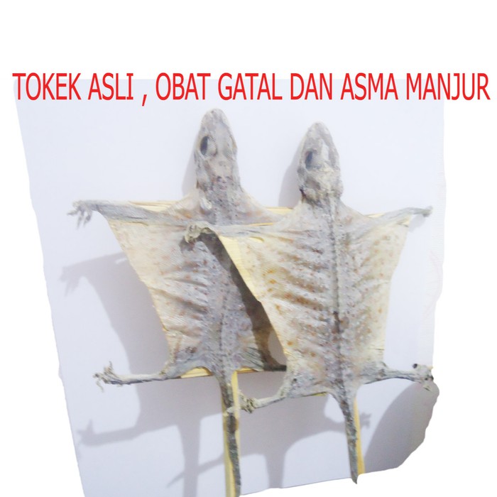 TOKEK KERING obat asma - batuk - sesak nafas manjur