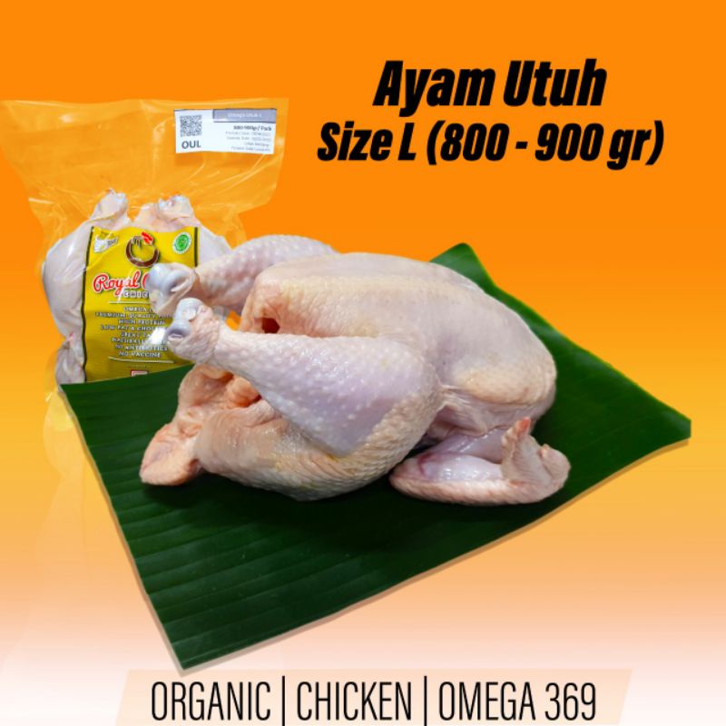 

Ayam Omega Utuh (L)