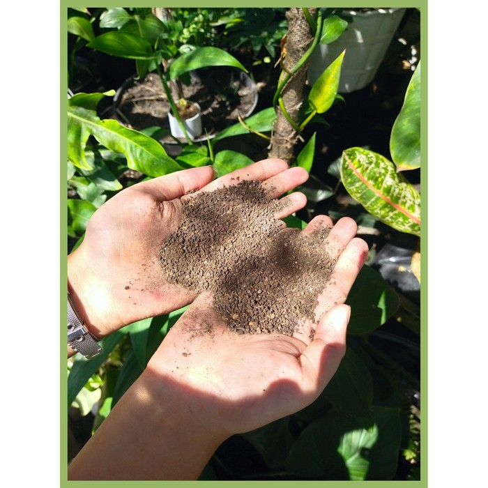 Pupuk Organik / Kascing Bekas Cacing KERING - 1 kg