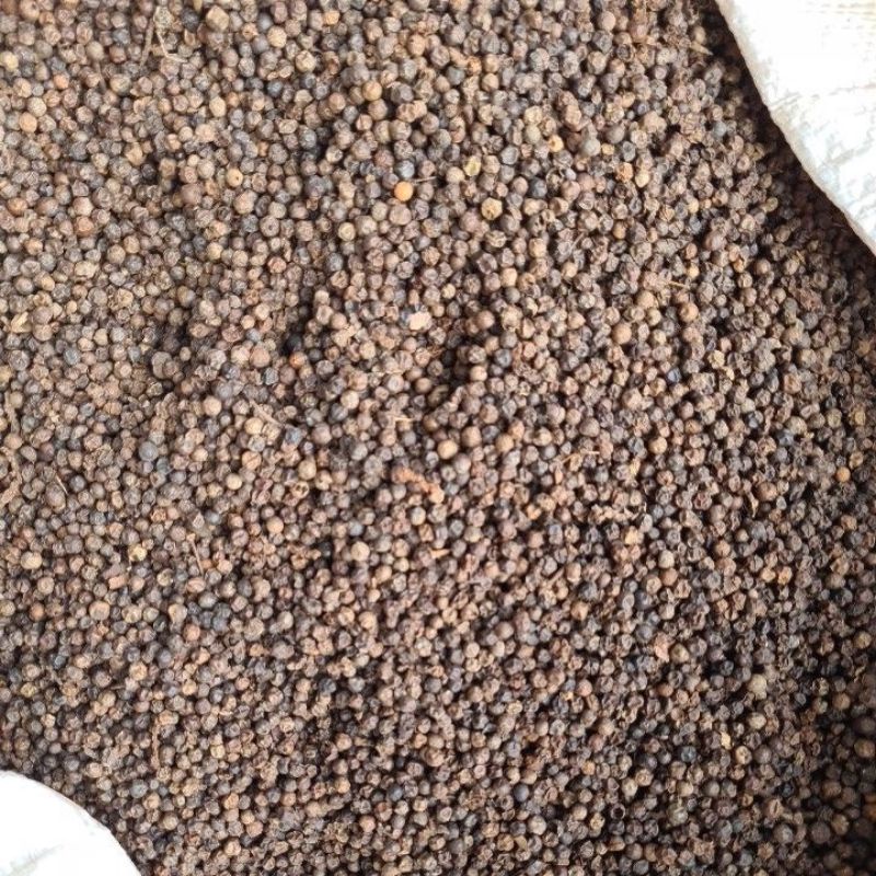 

Lada Ringan atau Black Pepper Lightberry dapat 1kg ukuran 1mm 2mm