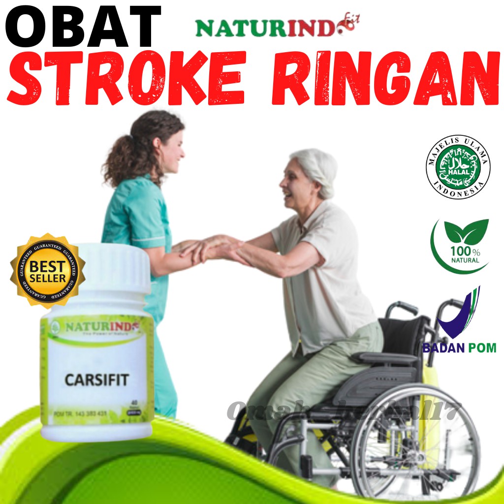 Obat Sroke Ringan Obat Herbal Stroke Ringan Obat Stroke Ampuh Carsifit