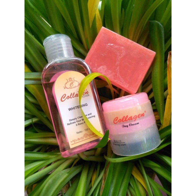 PAKET CREAM COLLAGEN