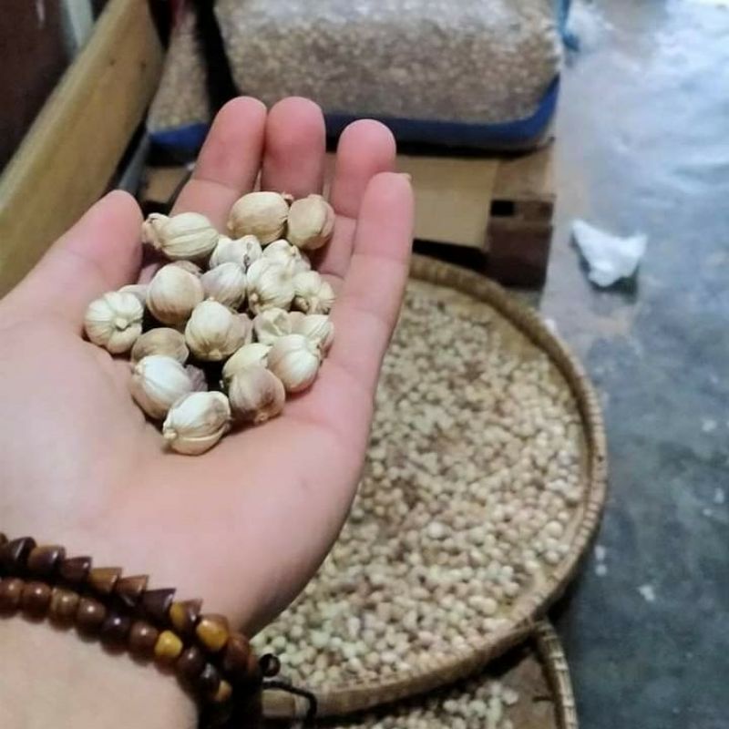 

kapulaga 50gr