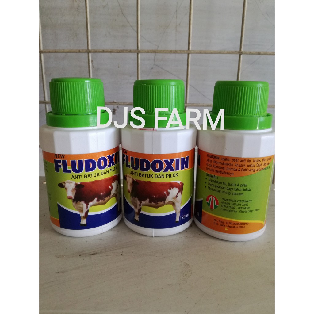 Jual Fludoxin Obat Flu Batuk Pilek Untuk Hewan Ternak Sapi Kambing Domba Indonesia Shopee Indonesia