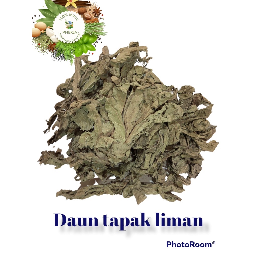 Jual Daun Tapak Liman Kering Gram Shopee Indonesia