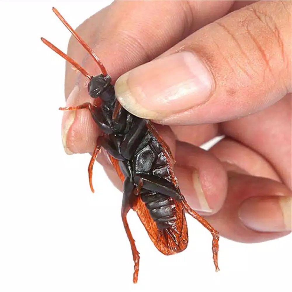 Kecoa Palsu Kecoak Mainan Mirip Asli untuk prank cockroach Toys gag