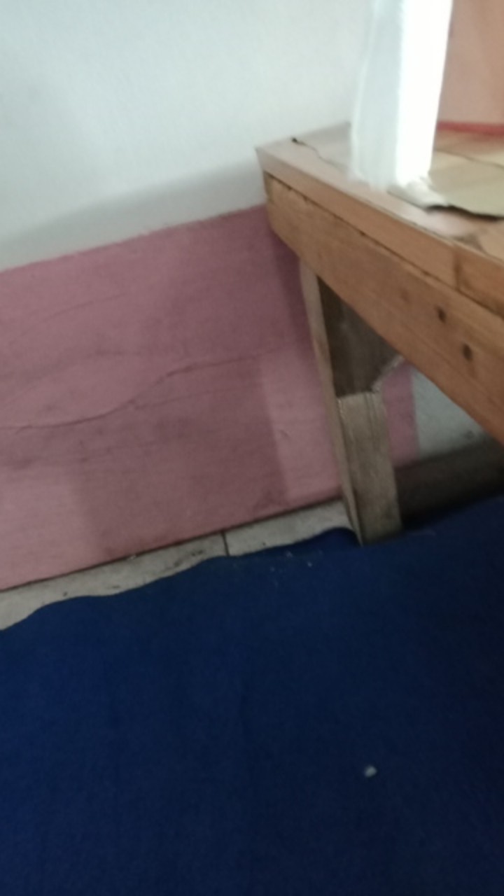 Bolde Refil Spray Mop Segi