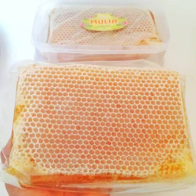 Madu sarang 500 gr fresh Asli dari lebah Apis Melifera