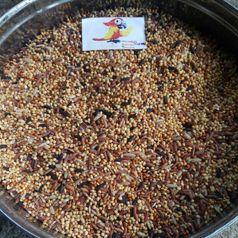 MILET BURUNG TERKUKUR MIX PEMULAH PETS 1KG MILET PUTER MILET TERKUKUR MILET DERKUKU MILET BURUNG