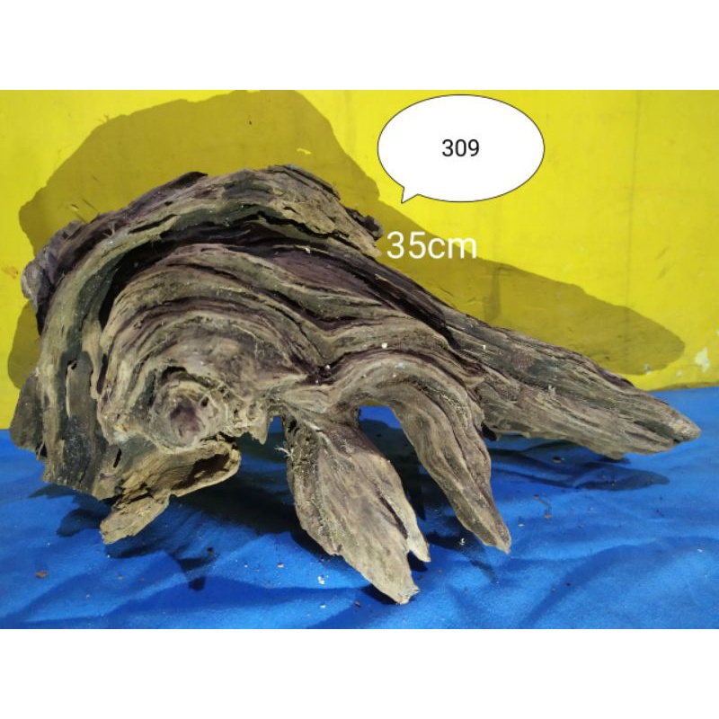 Kayu Rentek Hiasan Aquarium