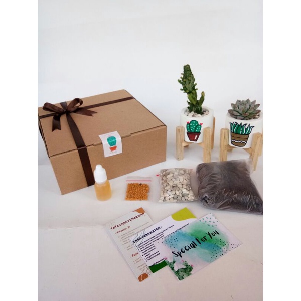 

HAMPERS BOX KIT KAKTUS SUKULEN | HAMPERS MURAH MEWAH ( ISI 2 TANAMAN)