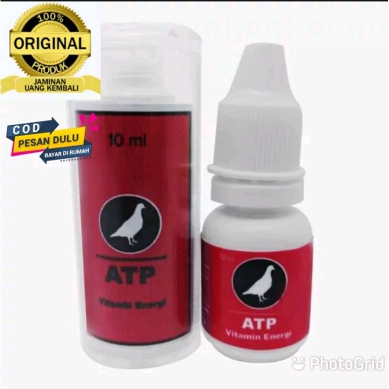 Vitarest ATP suplemen energy doping burung merpati