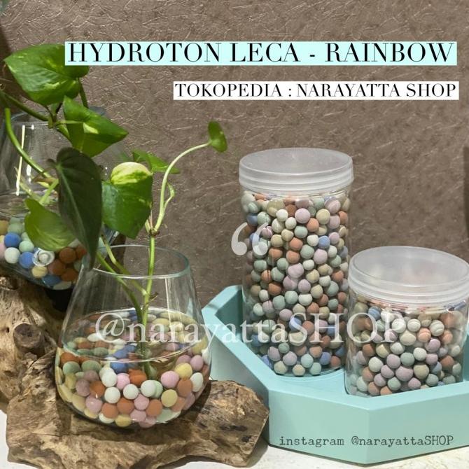 RAINBOW HYDROTON - HYDROTON WARNA WARNI IMPORT