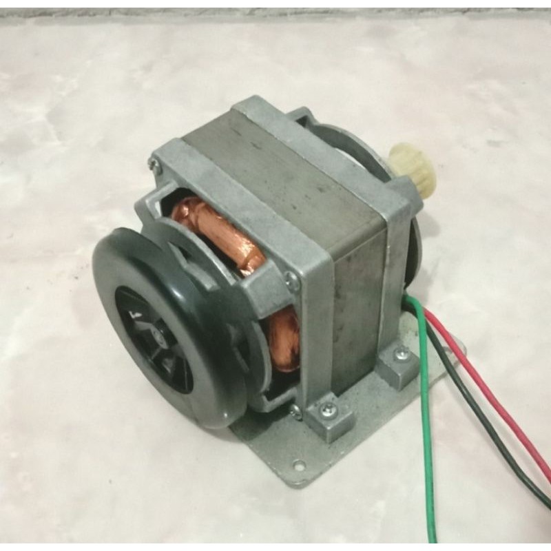 ac motor 220V