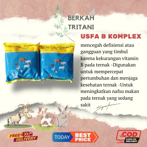 USFA B KOMPLEX 1000 Tablet Vitamin B Komplex Hewan