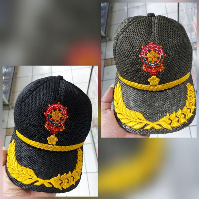 TOPI POL PP 3D