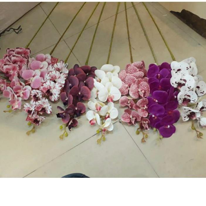 ⓃSerbuuu BUNGA ANGGREK LATEX 43,900 PER TANGKAI [K 9] bunga anggrek bulan anggrek hias anggrek palsu