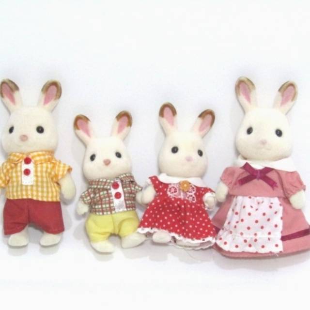 preloved chocolate labradors