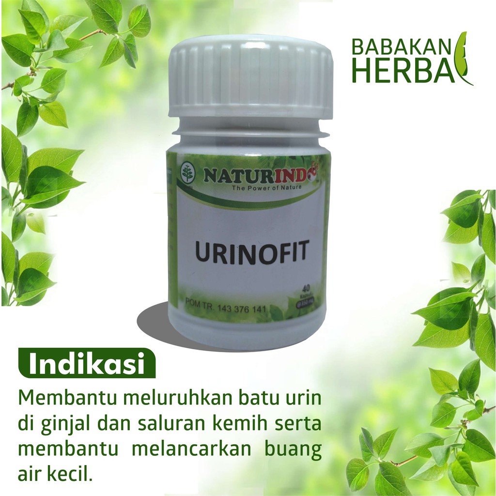 Mengenali Tanda Tanda Batu Ginjal Dari Nyeri Pinggang Hingga Urine Berbau Menyengat Tribun Jogja