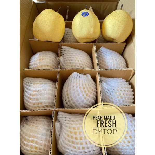 

Buah Pir Pear Madu Manis Fresh - 1 Kg