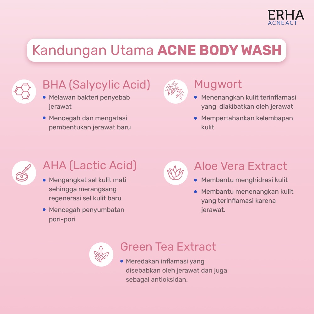 ERHA Acneact Acne Body Wash BHA &amp; Mugworth 240ml - Sabun Badan Jerawat @MJ