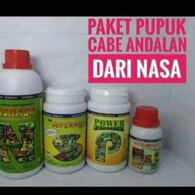 pupuk cabe,hama cabe, organik