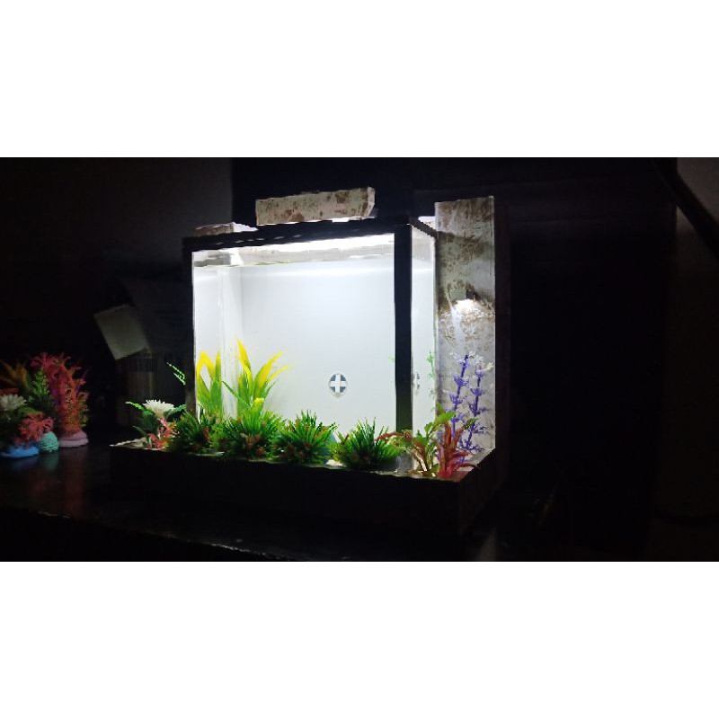 Akuarium mini pvc akrilik dan soliter ikan cupang dan ikan hias