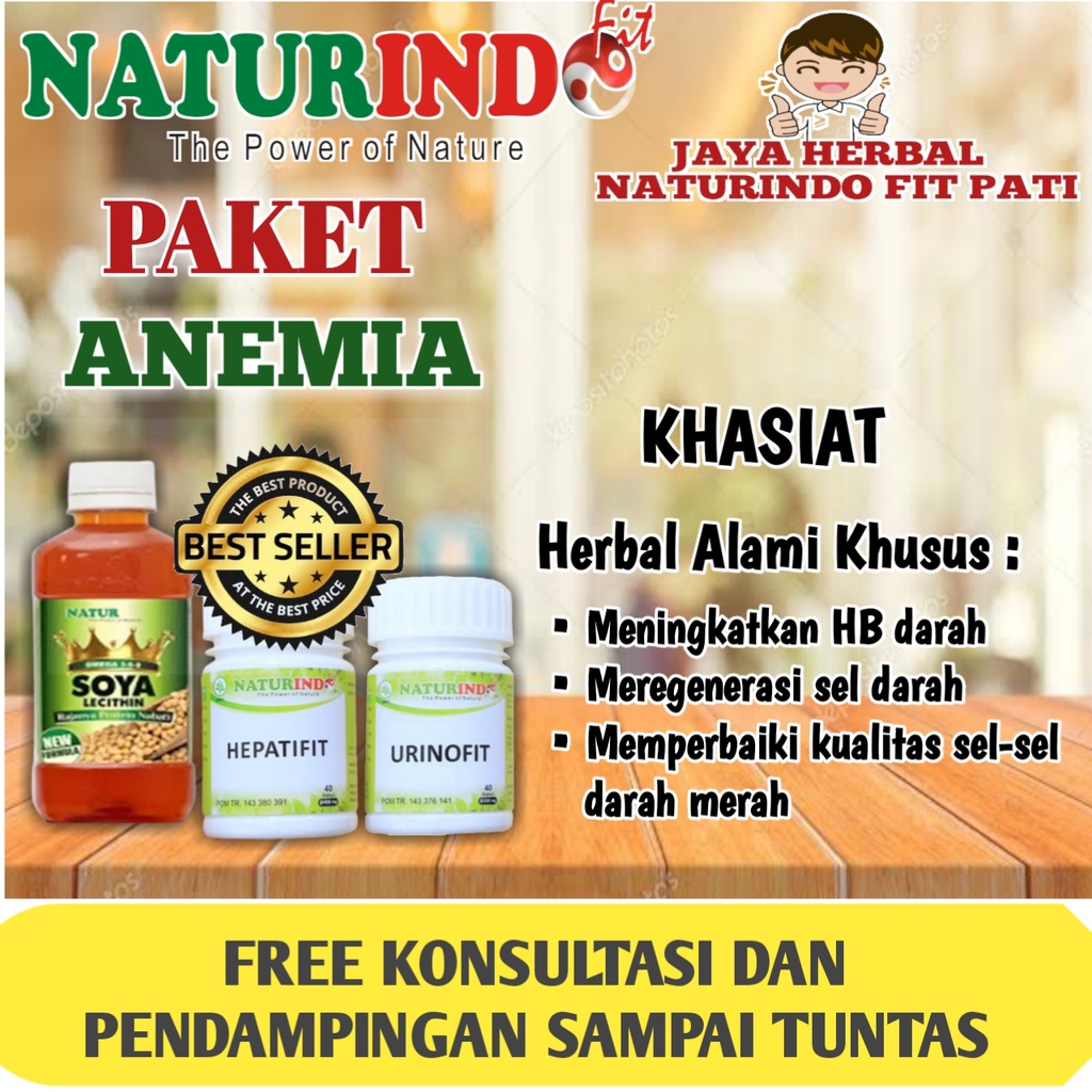 Paket Lengkap Anemia Kurang Darah Lemas Letih Lesu Mau Pingsan Herbal naturindo