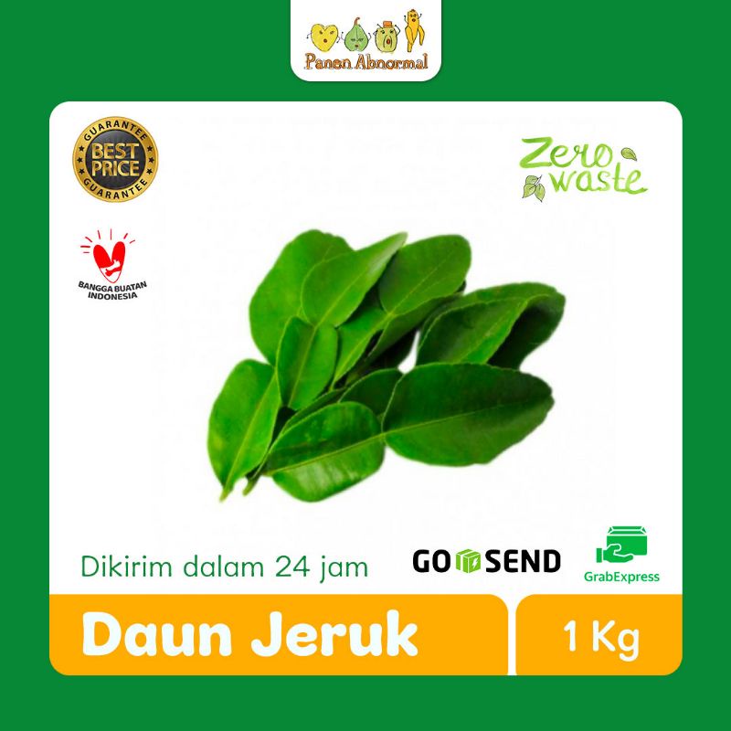

Daun Jeruk Panen Abnormal per KG