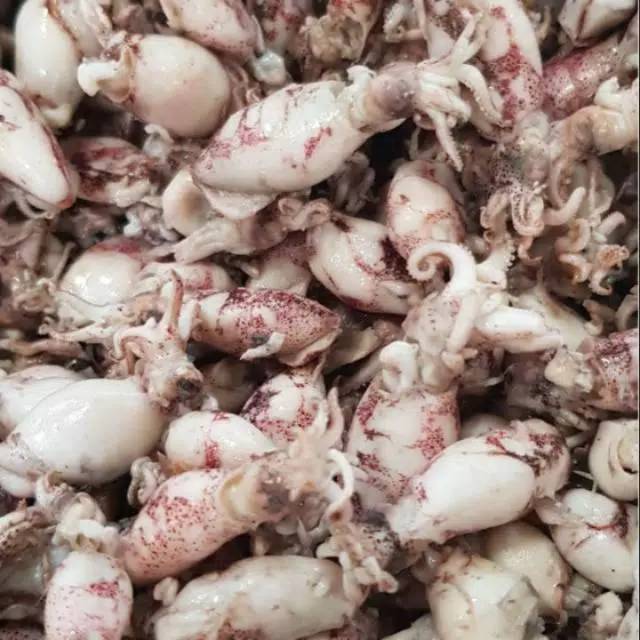 

Cumi asin 1- 3 cm ( 1000 gr)