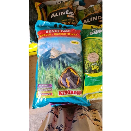 BENIH PADI INPARI 45 BIBIT PADI UNGGUL