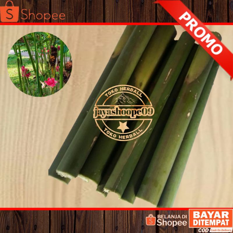 

jual pohon batang kecombran / honje 1.kg